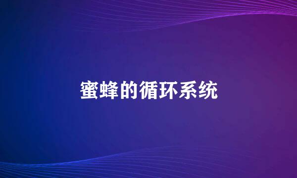 蜜蜂的循环系统