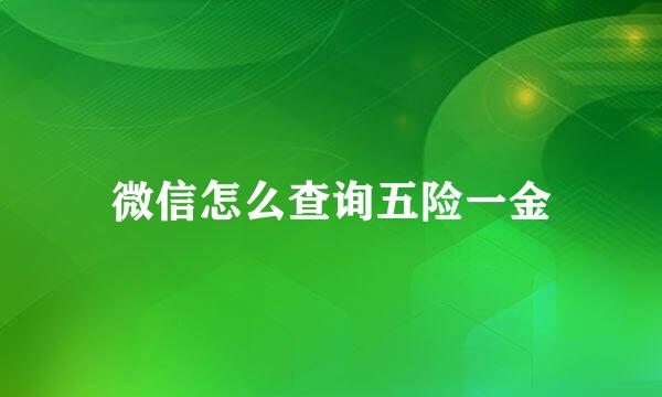 微信怎么查询五险一金