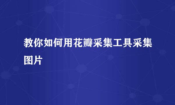 教你如何用花瓣采集工具采集图片