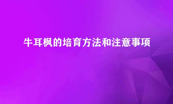 牛耳枫的培育方法和注意事项