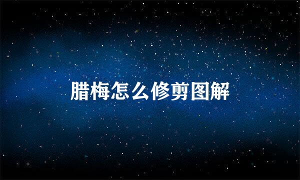 腊梅怎么修剪图解