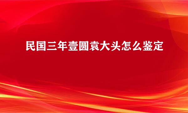民国三年壹圆袁大头怎么鉴定
