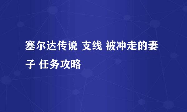 塞尔达传说 支线 被冲走的妻子 任务攻略