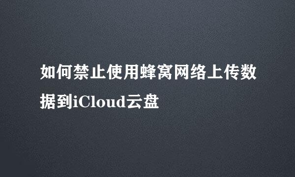 如何禁止使用蜂窝网络上传数据到iCloud云盘