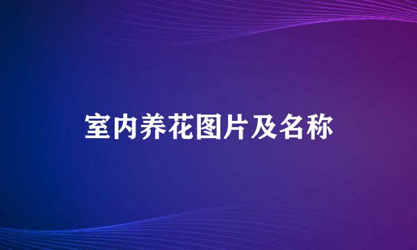 室内养花图片及名称
