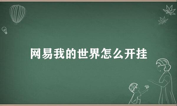 网易我的世界怎么开挂