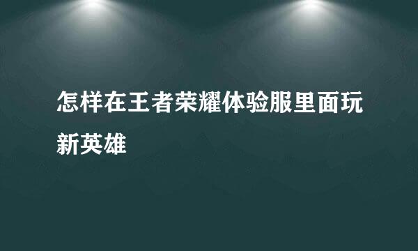 怎样在王者荣耀体验服里面玩新英雄
