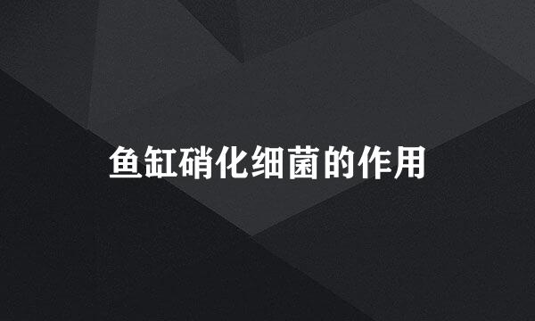 鱼缸硝化细菌的作用