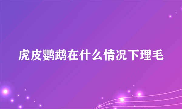虎皮鹦鹉在什么情况下理毛