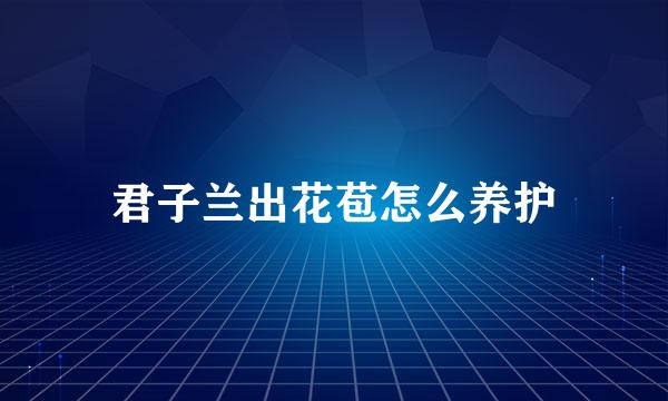 君子兰出花苞怎么养护