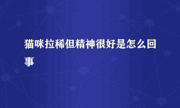 猫咪拉稀但精神很好是怎么回事