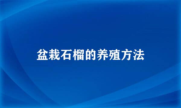盆栽石榴的养殖方法