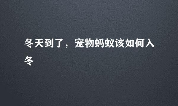 冬天到了，宠物蚂蚁该如何入冬