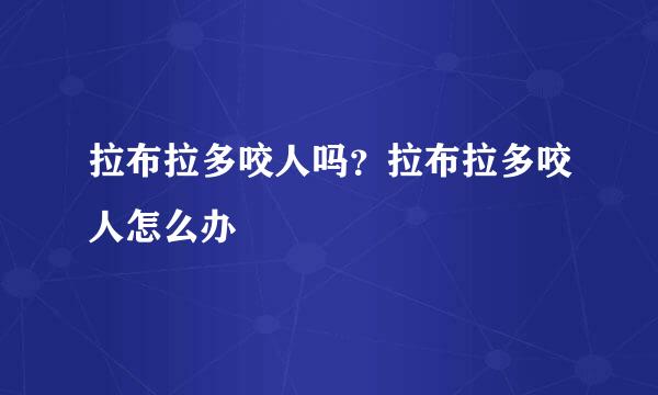 拉布拉多咬人吗？拉布拉多咬人怎么办