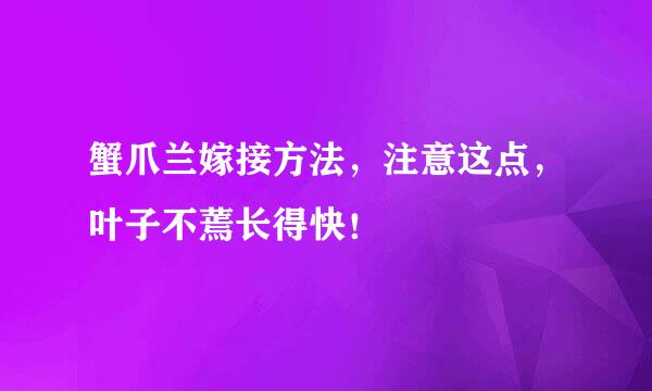 蟹爪兰嫁接方法，注意这点，叶子不蔫长得快！
