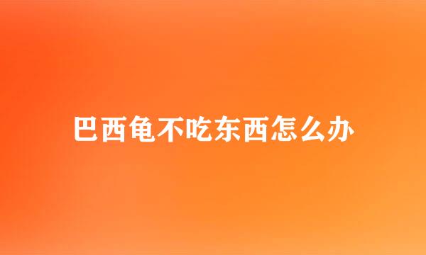 巴西龟不吃东西怎么办