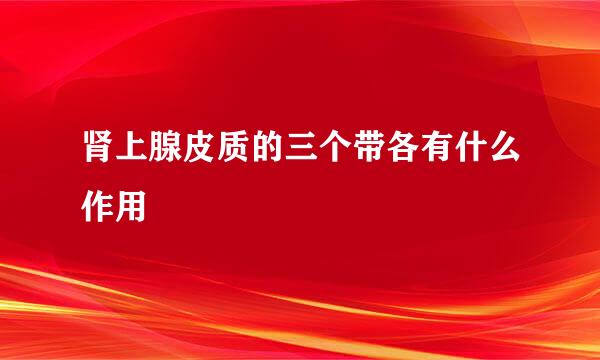 肾上腺皮质的三个带各有什么作用
