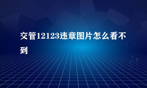 交管12123违章图片怎么看不到