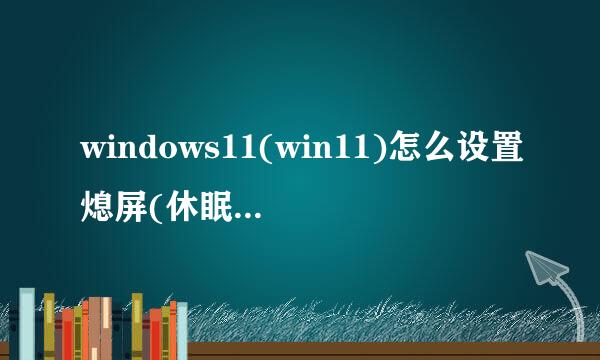 windows11(win11)怎么设置熄屏(休眠)不断网