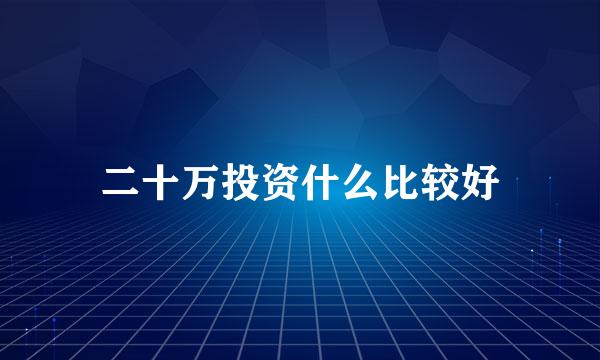 二十万投资什么比较好
