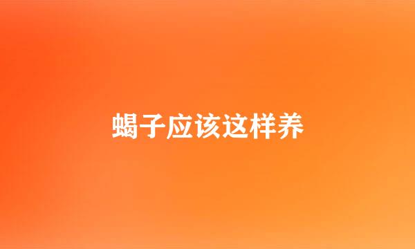 蝎子应该这样养