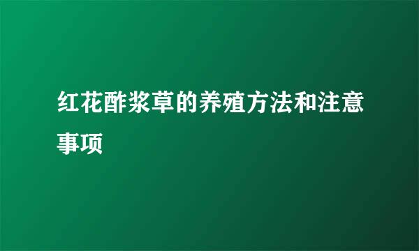 红花酢浆草的养殖方法和注意事项