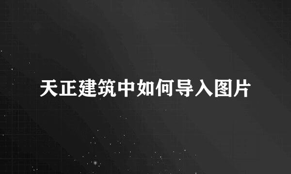 天正建筑中如何导入图片