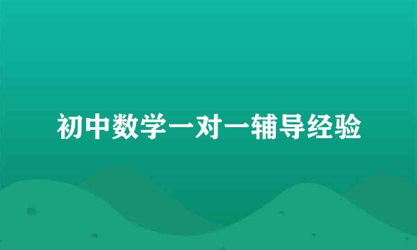 初中数学一对一辅导经验