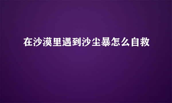 在沙漠里遇到沙尘暴怎么自救