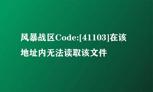 风暴战区Code:[41103]在该地址内无法读取该文件
