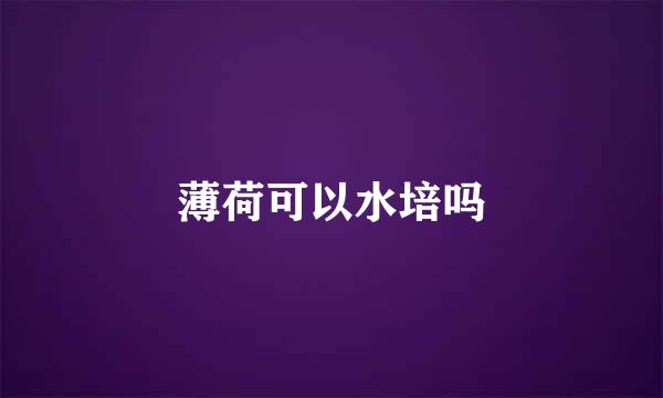薄荷可以水培吗