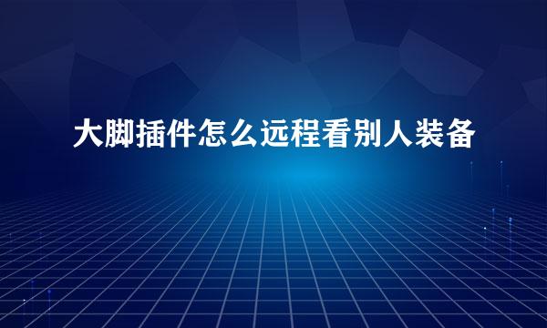 大脚插件怎么远程看别人装备
