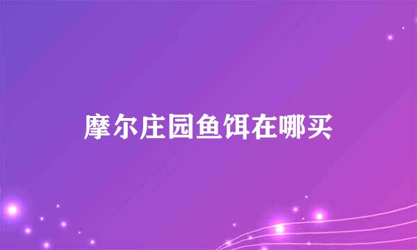 摩尔庄园鱼饵在哪买
