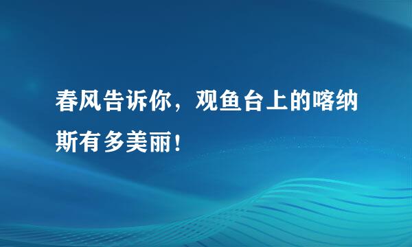 春风告诉你，观鱼台上的喀纳斯有多美丽！