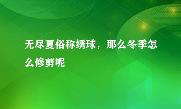 无尽夏俗称绣球，那么冬季怎么修剪呢