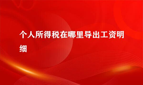 个人所得税在哪里导出工资明细