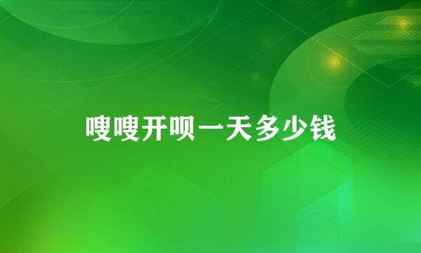嗖嗖开呗一天多少钱