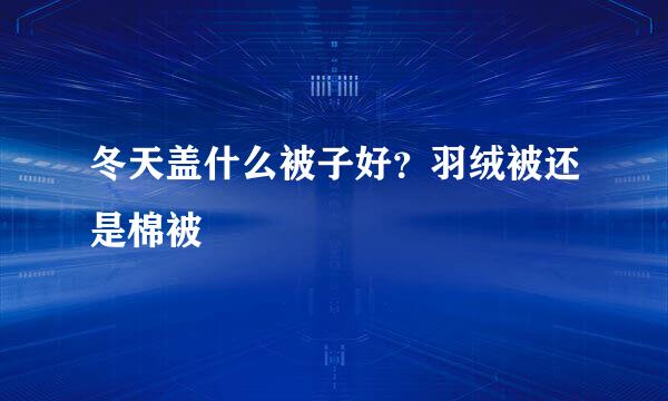 冬天盖什么被子好？羽绒被还是棉被