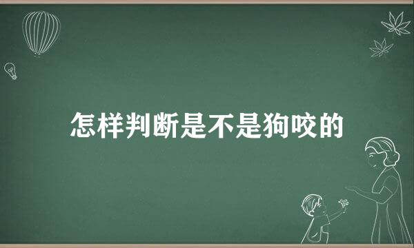 怎样判断是不是狗咬的