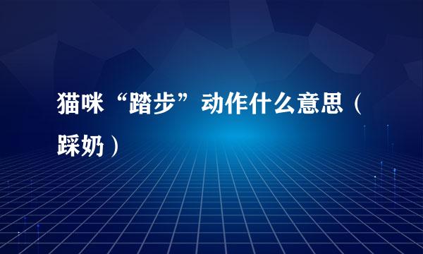 猫咪“踏步”动作什么意思（踩奶）