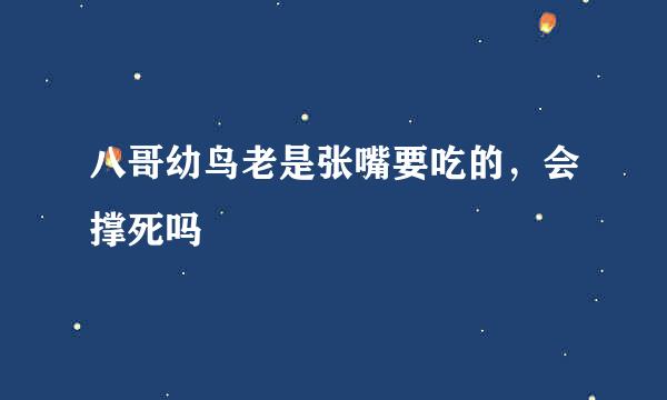 八哥幼鸟老是张嘴要吃的，会撑死吗