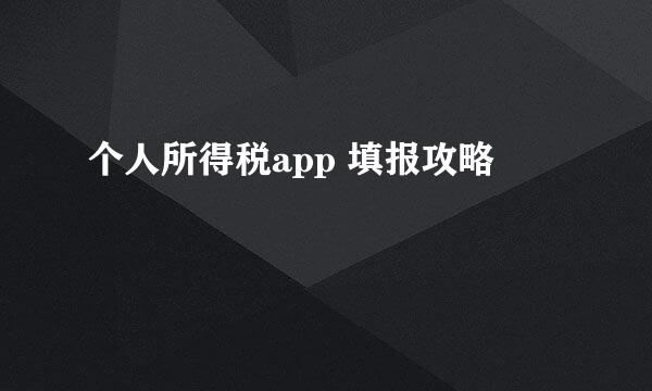 个人所得税app 填报攻略
