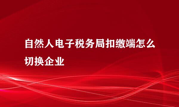 自然人电子税务局扣缴端怎么切换企业