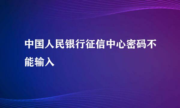 中国人民银行征信中心密码不能输入