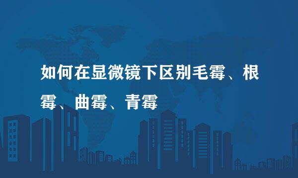 如何在显微镜下区别毛霉、根霉、曲霉、青霉