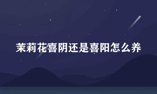 茉莉花喜阴还是喜阳怎么养
