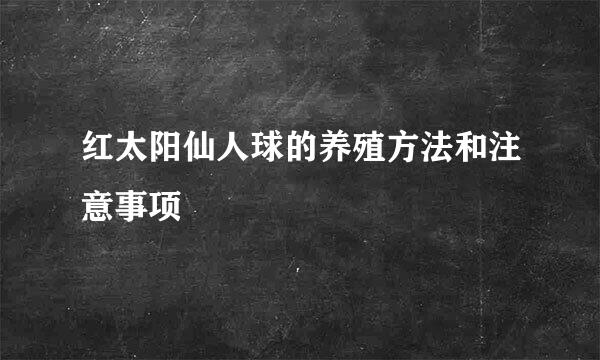 红太阳仙人球的养殖方法和注意事项