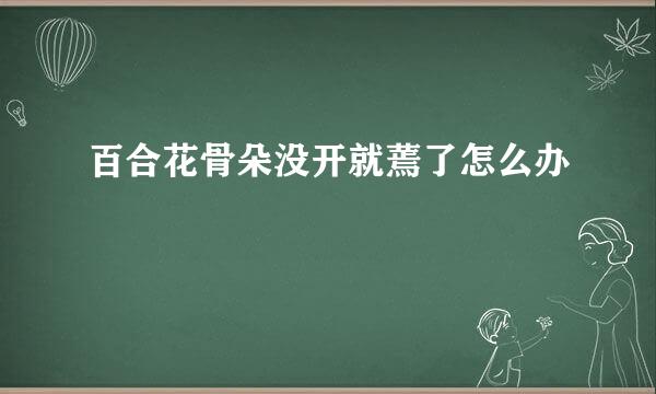 百合花骨朵没开就蔫了怎么办