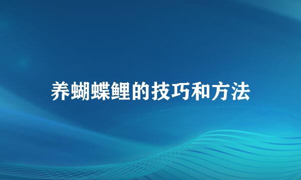 养蝴蝶鲤的技巧和方法