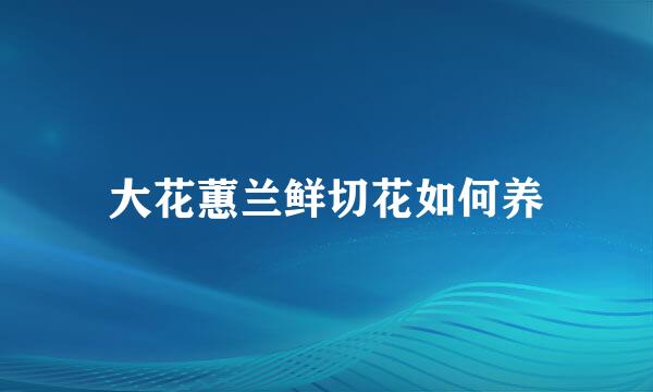 大花蕙兰鲜切花如何养